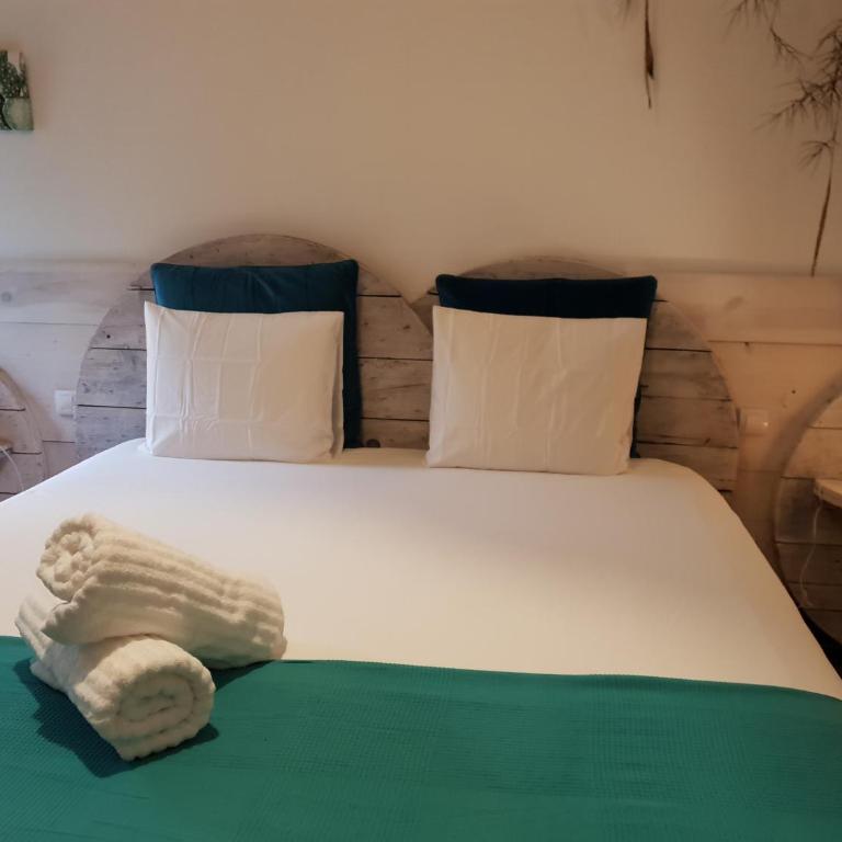Cactus Host - Suite - 17