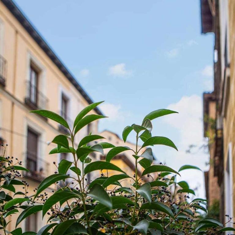 Calle Huertas Corazón by RegalateMadrid - One-Bedroom Apartment - 7