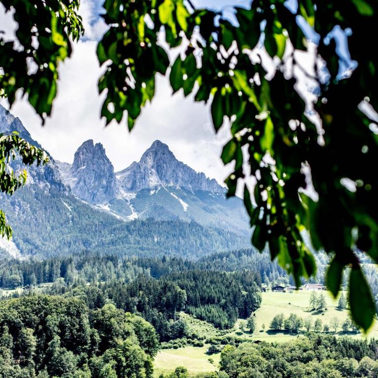 Alpenrelax Haus Weidmannsheil wohnen im romantischen Forsthaus - Apartment mit 2 Schlafzimmern - 59
