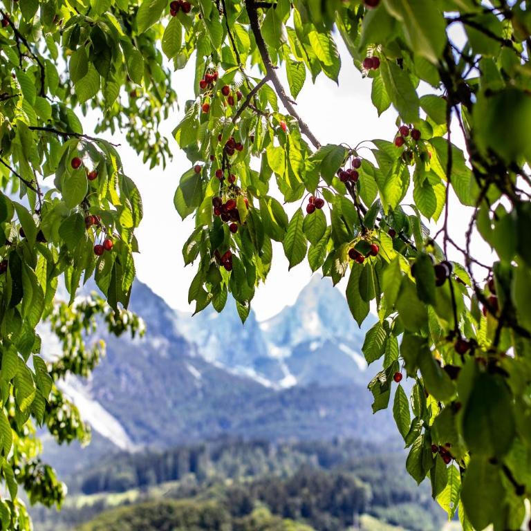 Alpenrelax Haus Weidmannsheil wohnen im romantischen Forsthaus - Apartment mit 2 Schlafzimmern - 58