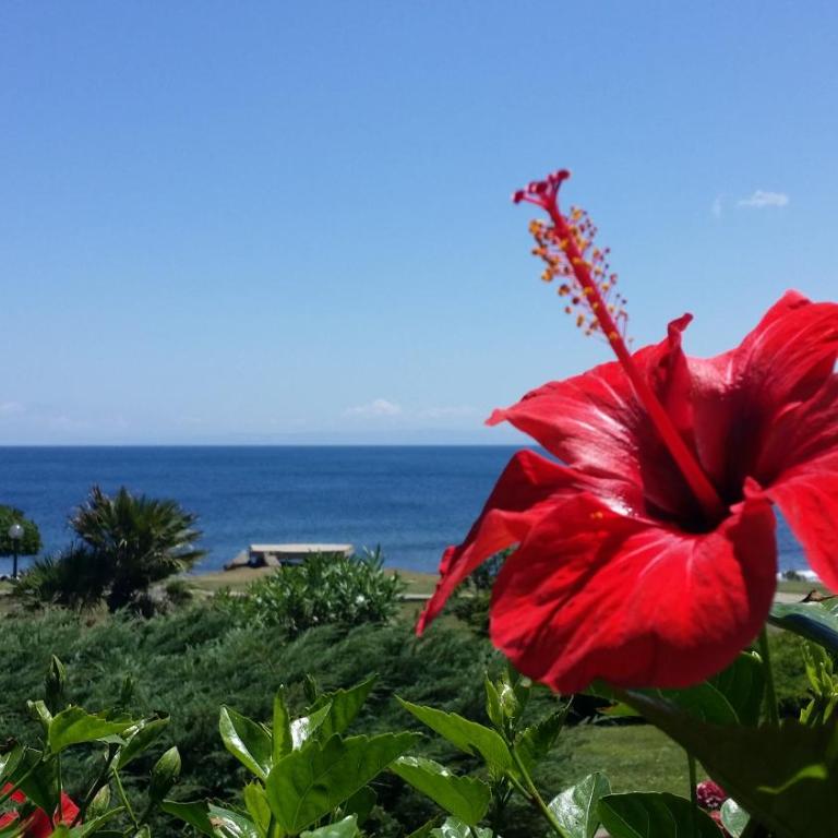 Sogno sul mare - Appartamento con 3 Camere da Letto - 1
