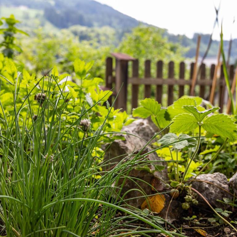Alpenrelax Haus Weidmannsheil wohnen im romantischen Forsthaus - Apartment mit 2 Schlafzimmern - 73