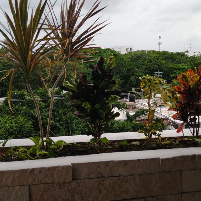 Suites calle 38 - Estudio Deluxe con cama grande - 52