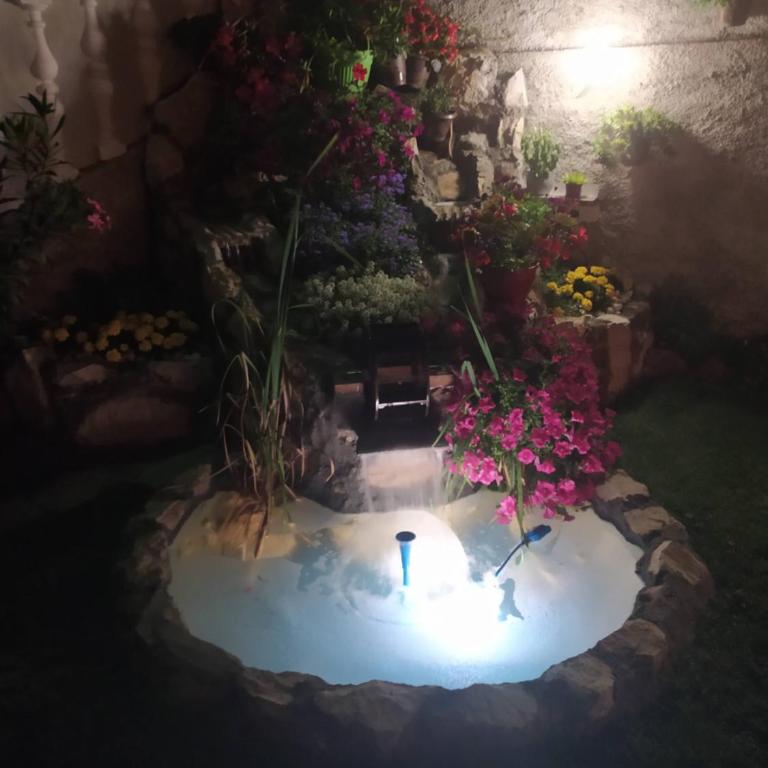 Villa Jelena - Apartman sa 2 Spavaće Sobe - 8