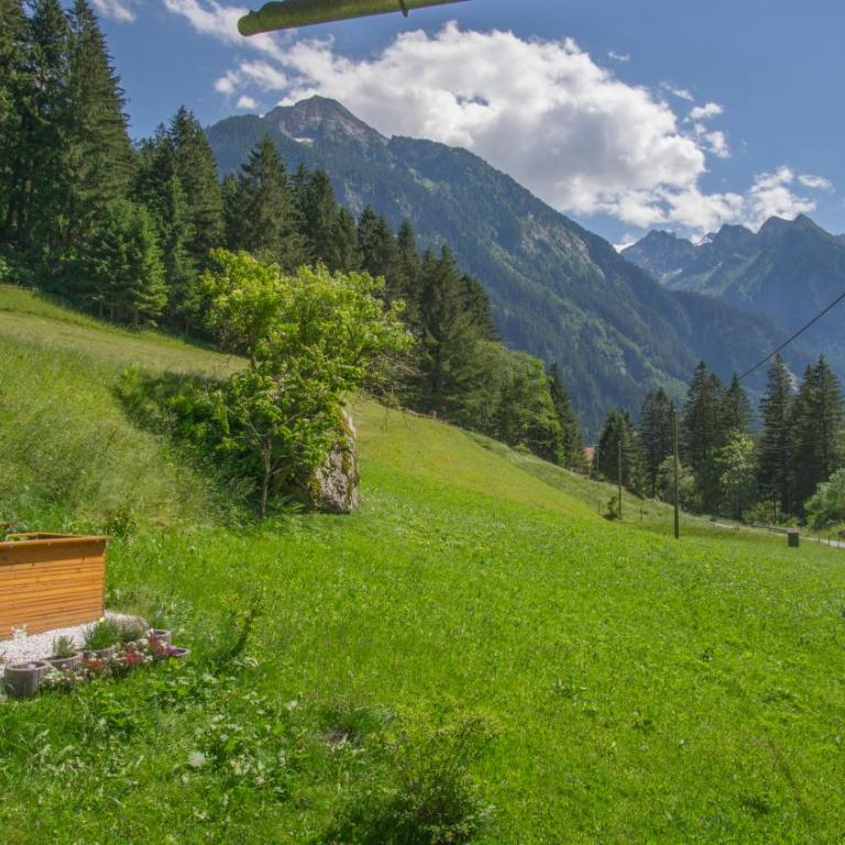 Apartment Bergblick - Apartment mit 3 Schlafzimmern - 20