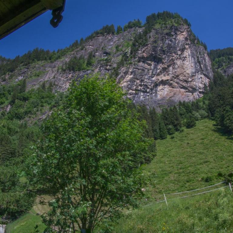 Apartment Bergblick - Apartment mit 3 Schlafzimmern - 19
