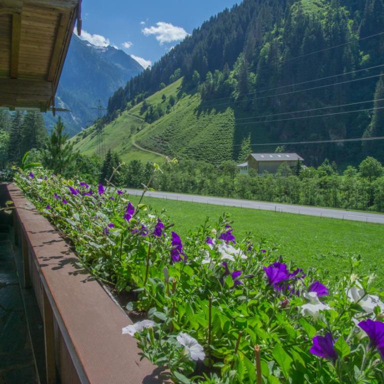 Apartment Bergblick - Apartment mit 3 Schlafzimmern - 17
