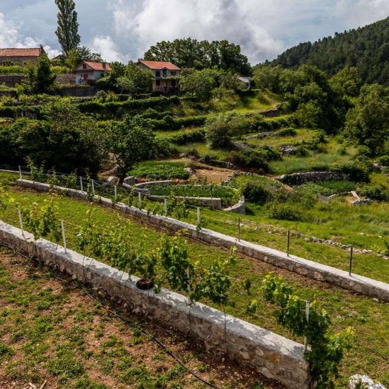 Alt Braic Villa - Vila sa Sopstvenim Bazenom - 41