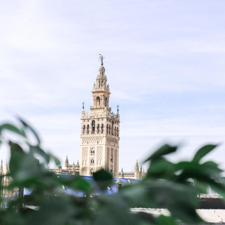Alohamundi Catedral - Apartamento Ático con terraza privada - 1