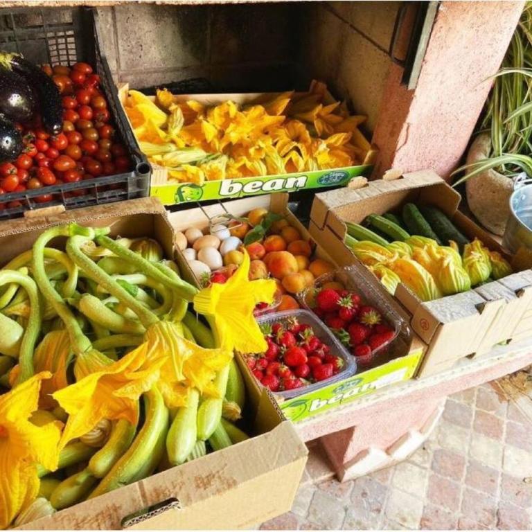 Ascheri Country House - Grimaldi, Ventimiglia - Villa con Vista Mare - 50