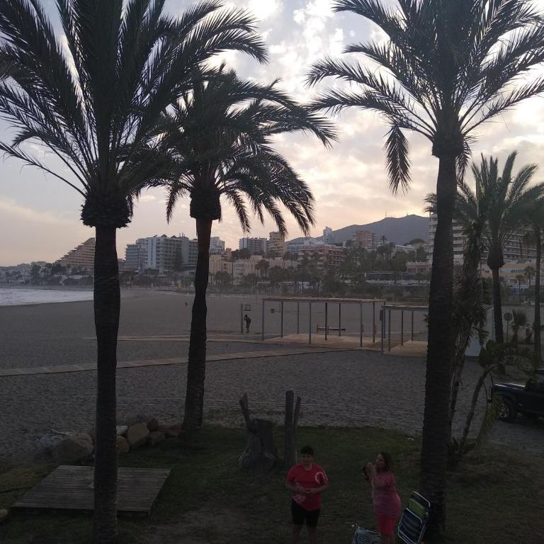 Apartamento La Orquídea - Apartamento de 2 dormitorios - 28