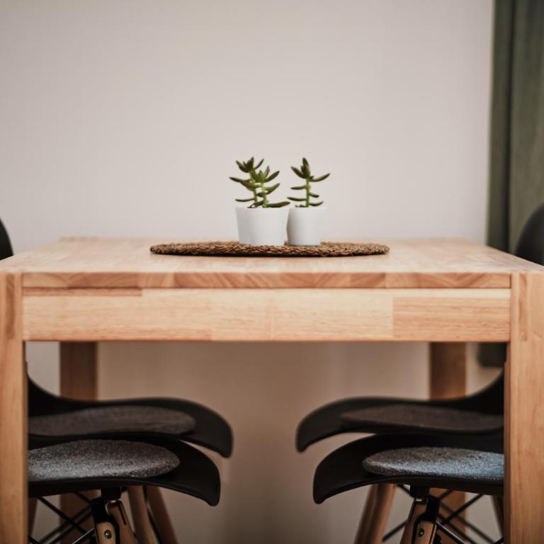 Tini´s Feinstes - Apartment - 1