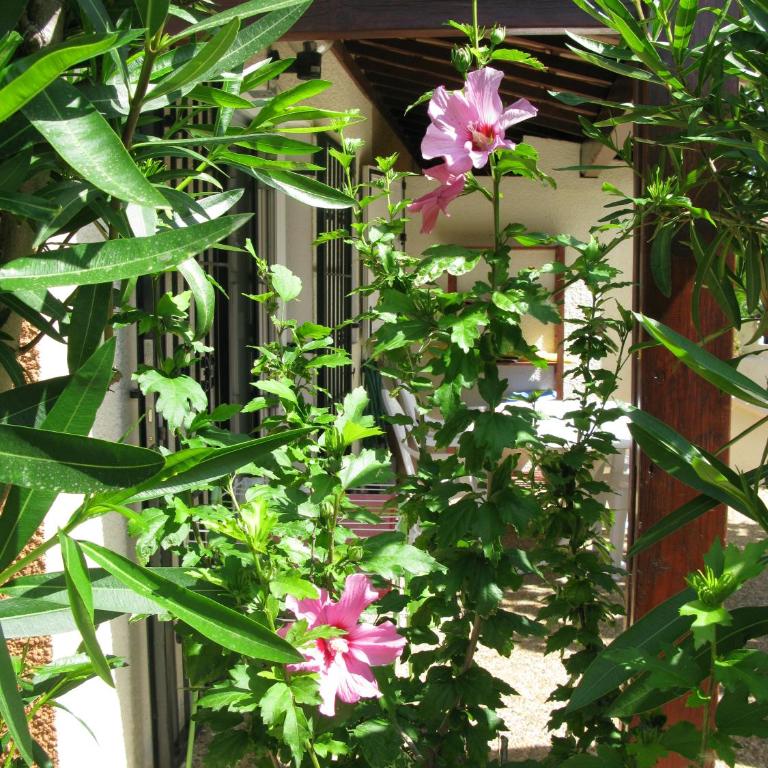 Vias Plage - Maison de vacances - Maison 3 Chambres - 11