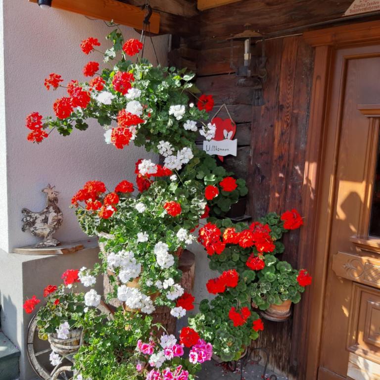 Ferienhaus Grofn - Ferienhaus - 9