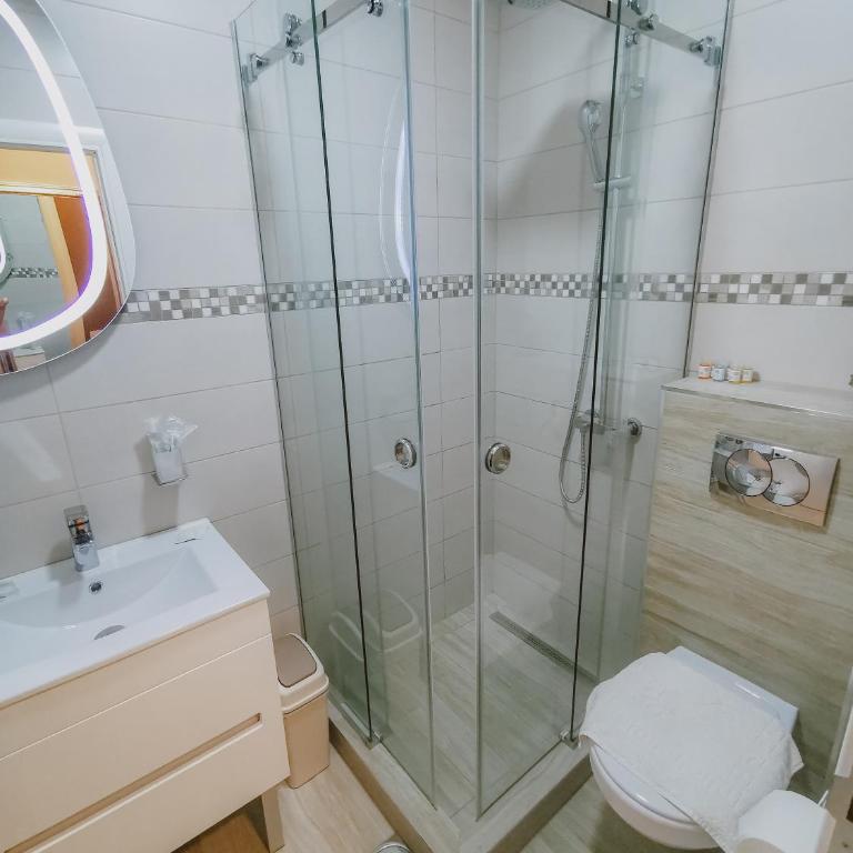 Vazdušna Banja - Deluks Dvokrevetna Soba sa Bračnim Krevetom/Zasebnim Krevetima - 19