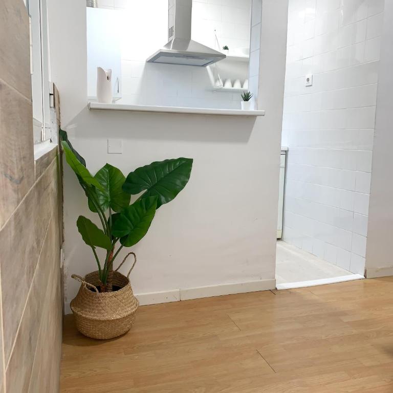 Apartamento Centro Costa de la Luz - Apartamento de 1 dormitorio - 15