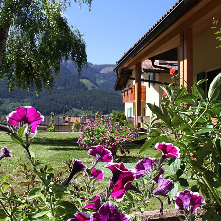Villa Noce 2 - apartment with garden - Apartment mit 3 Schlafzimmern - 45