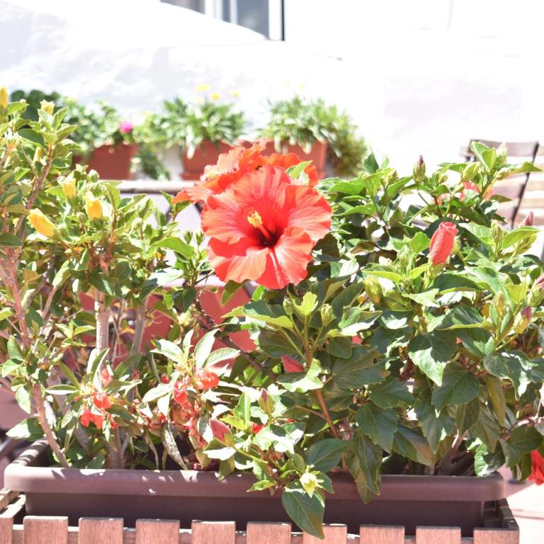Apartamento La Discusión de Veedor 12 - Apartamento de 1 dormitorio - 16