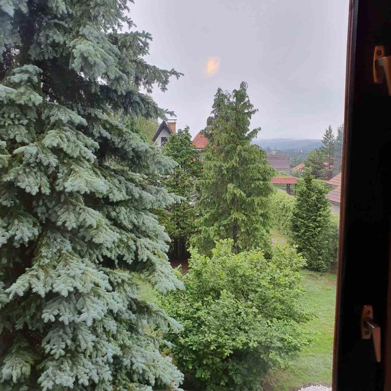 Planinska kuća sa dvorištem - Kuća sa 3 Spavaće Sobe - 37