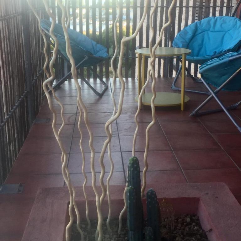 Bleu de Thau - Apartamento de 1 dormitorio con terraza - 5