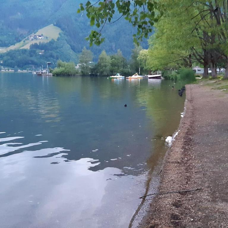 Wildente am See - Standard Studio für 3 Personen - 46