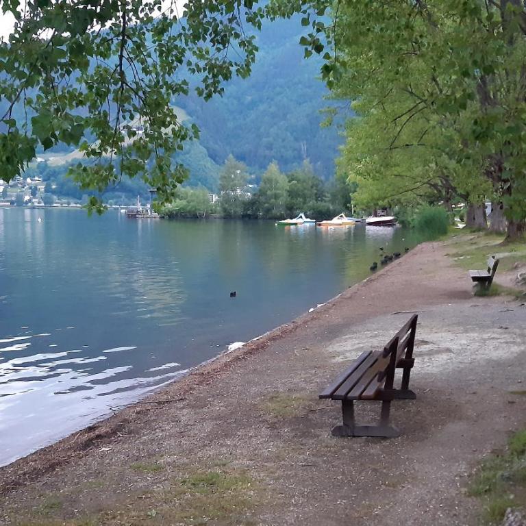 Wildente am See - Standard Studio für 3 Personen - 45