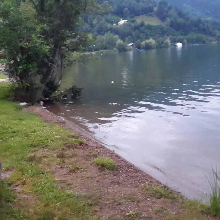 Wildente am See - Standard Studio für 3 Personen - 43