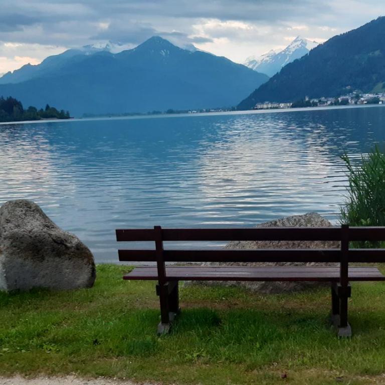 Wildente am See - Standard Studio für 3 Personen - 42