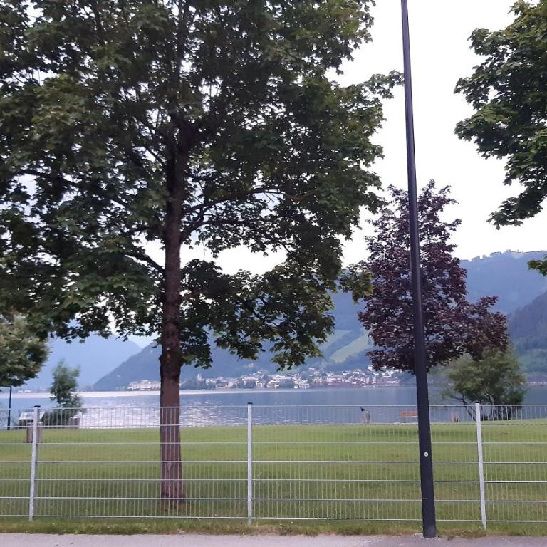 Wildente am See - Standard Studio für 3 Personen - 38