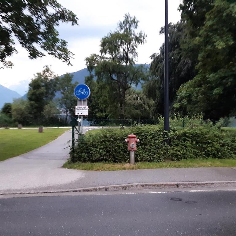 Wildente am See - Standard Studio für 3 Personen - 36