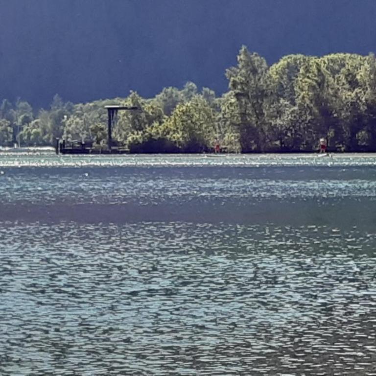 Wildente am See - Standard Studio für 3 Personen - 27