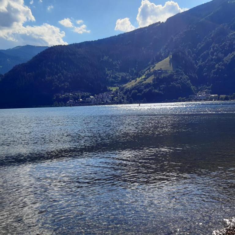 Wildente am See - Standard Studio für 3 Personen - 26