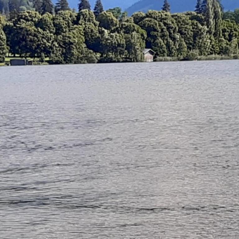 Wildente am See - Standard Studio für 3 Personen - 25