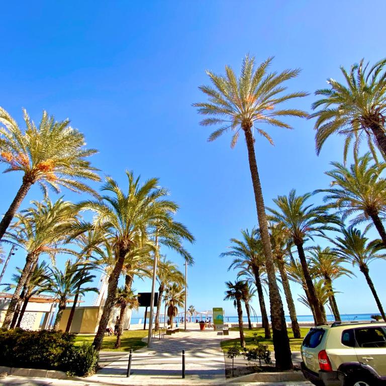 Nereo 7 Primera Linea de Playa San Juan Piscina, Parking wifi Inmobiliaria Leo - Two-Bedroom Apartment - 3