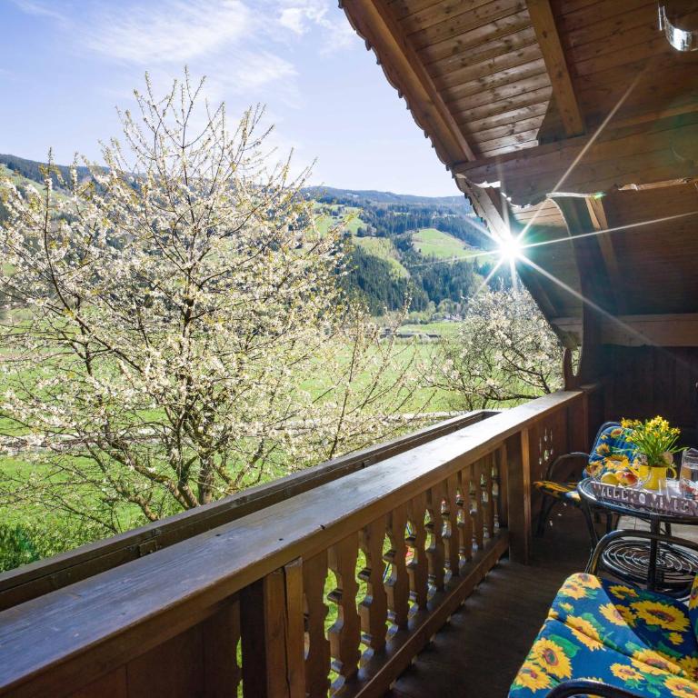 Ferienwohnungen Hauser Reinhilde - Apartment mit Blick auf die Berge - 11