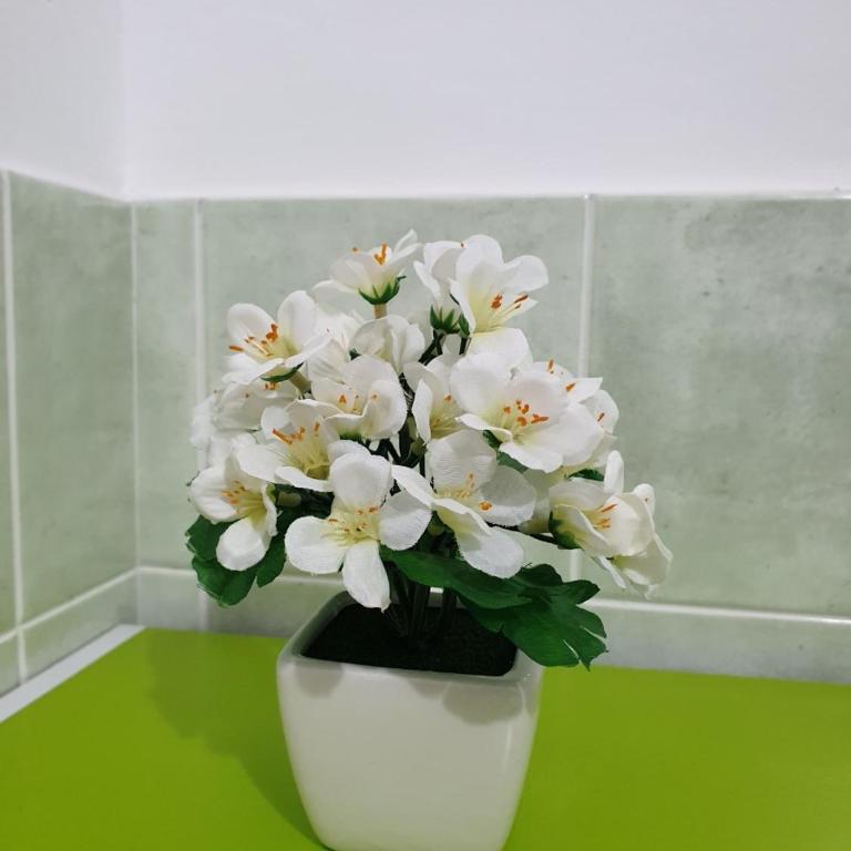 Chiara Naxos Apartment - Appartamento con 2 Camere da Letto - 23