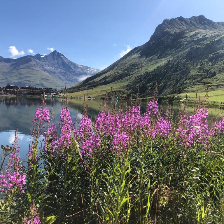 Phoenix 101 - Apartment mit Blick auf die Berge - 12