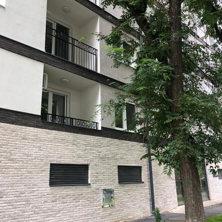 Linden Flower - One-Bedroom Apartment - 47