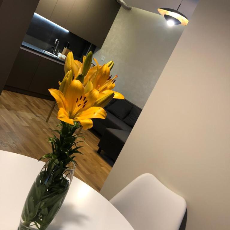 Linden Flower - One-Bedroom Apartment - 53