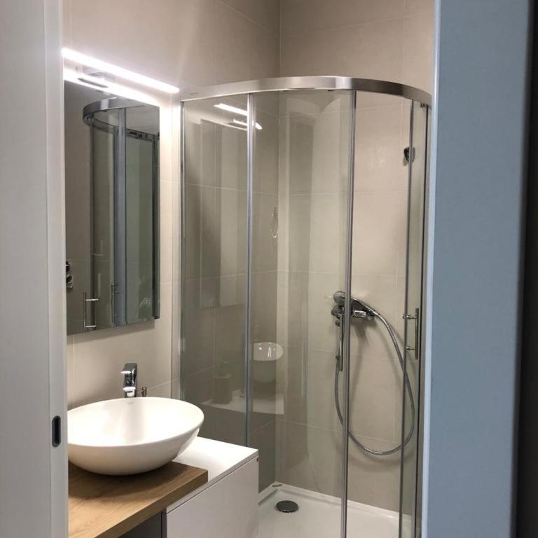 Linden Flower - One-Bedroom Apartment - 59