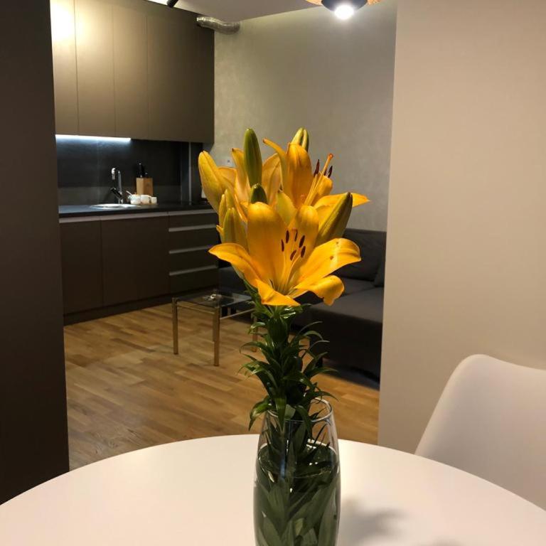 Linden Flower - One-Bedroom Apartment - 62