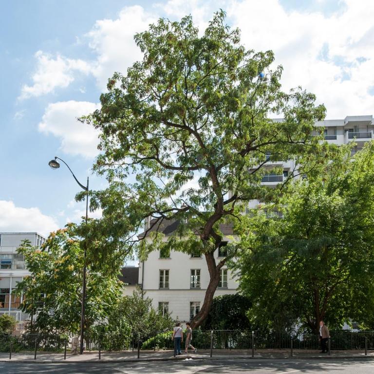 Paris Place Pantheon - Appartement 1 Chambre - 46