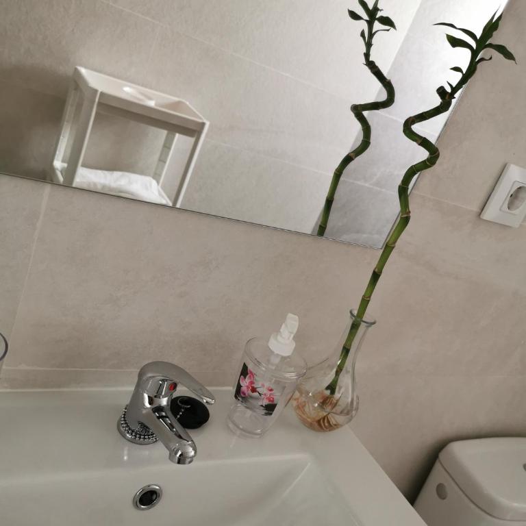 VeGandi - Apartamento de 2 dormitorios - 26