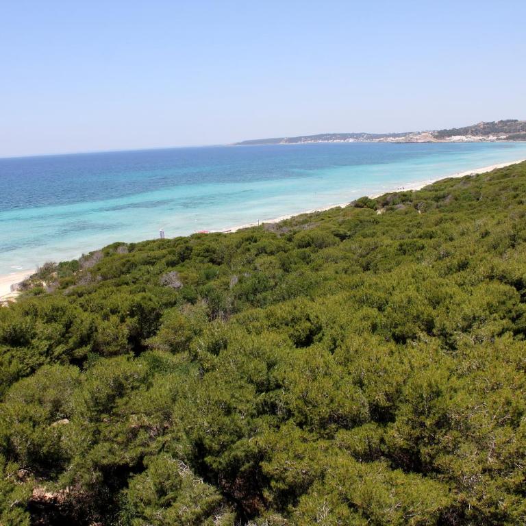 Appartamenti Rivabella D - Appartamento con 2 Camere da Letto - 5