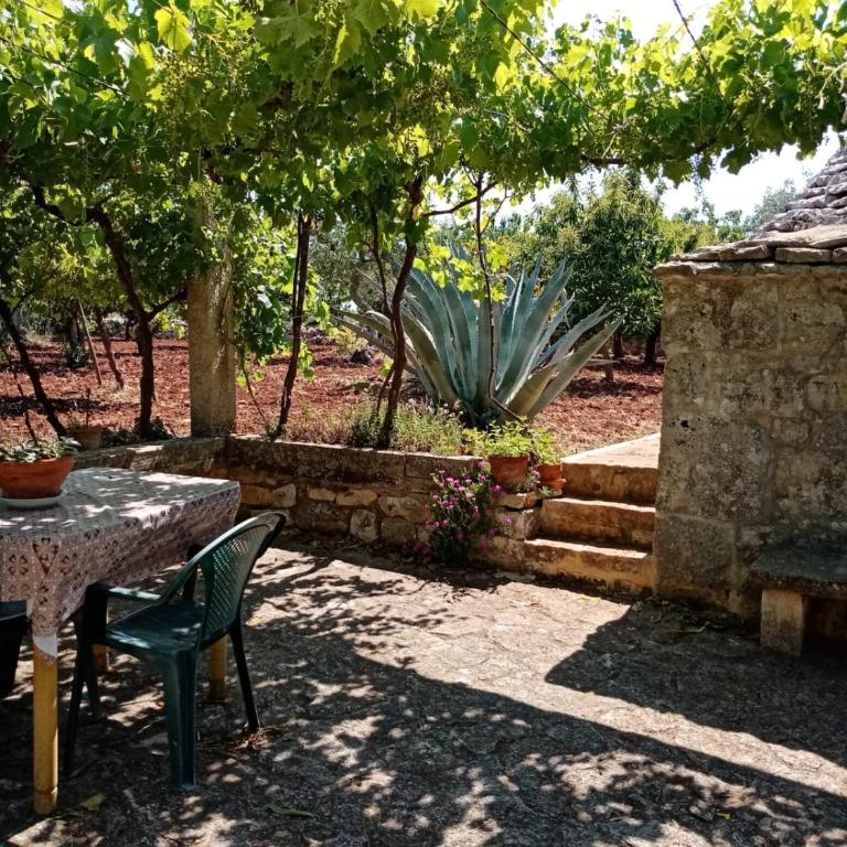 Il Trullo E Il Fortino - Appartamento - Piano Terra - 3
