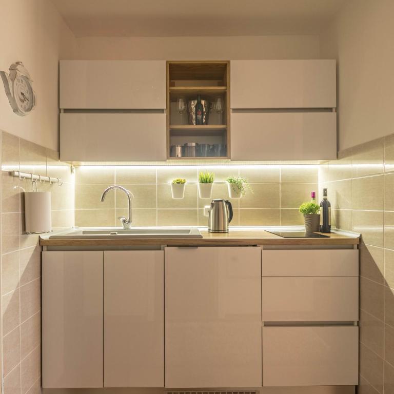 Apartman Modena Lux - Studio Apartman - 8