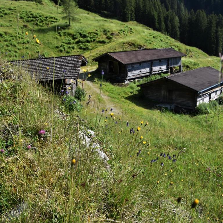 Fuchsbauer - Apartment mit Blick auf die Berge - 16