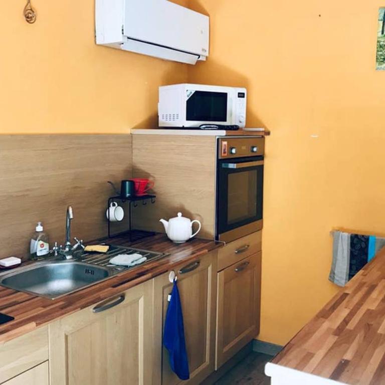House with nice garden, downtown by walk - Appartement 2 Chambres - 8