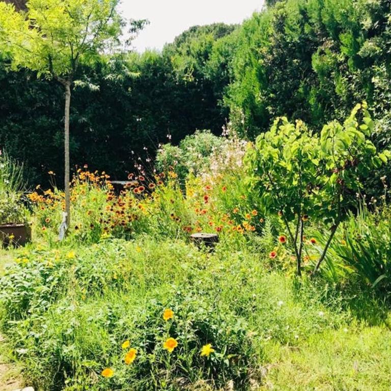 House with nice garden, downtown by walk - Appartement 2 Chambres - 17