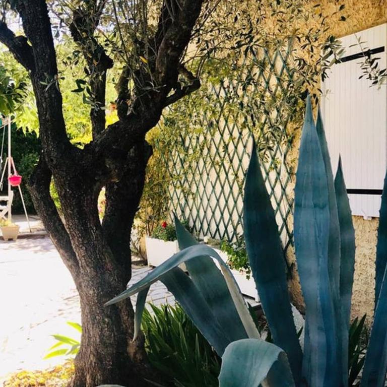 House with nice garden, downtown by walk - Appartement 2 Chambres - 16